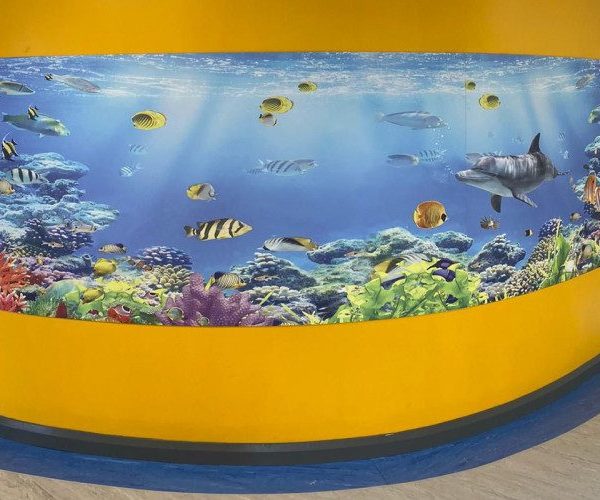 Underwater Scene